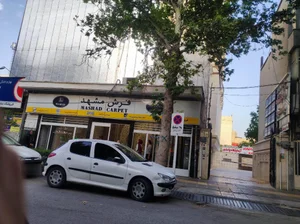 فرش مشهد 2