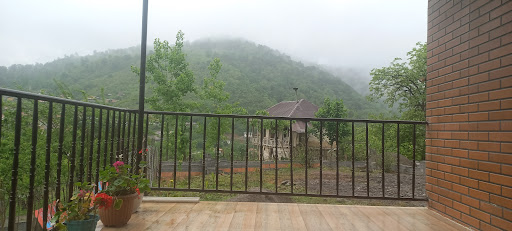 شاه کلا