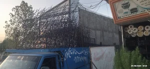حفاظ شاخ گوزنی