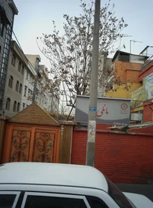 مهد کودک مانلی 2