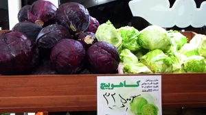 سوپر میوه جمشید 3