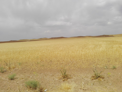 ایستگاه هواشناسی