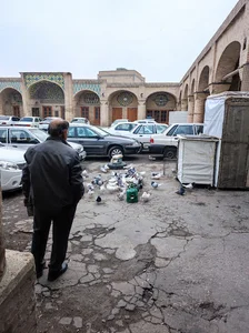 مس کریمی