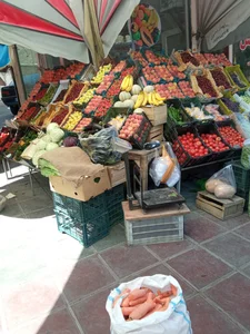 میوه فروشی نادر قاسمی 2