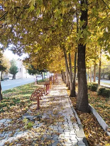 فضای سبز فاز دو