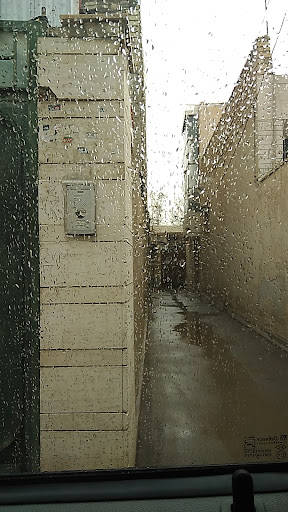 خانم محمودی چرخکار