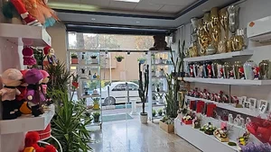 Cafegol (کافه گل)