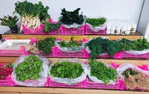 میوه سرای سید 4