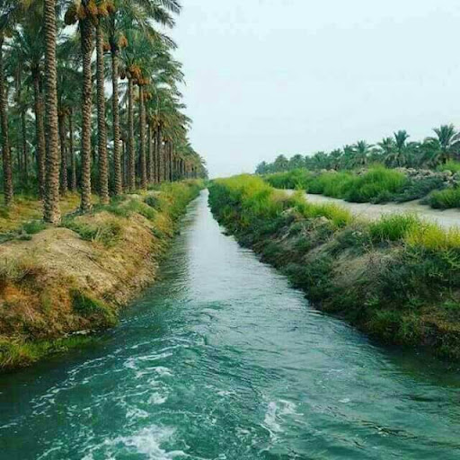 کافی نت و خدمات کامپیوتری متین