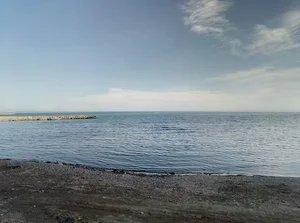 مجتمع فدک
