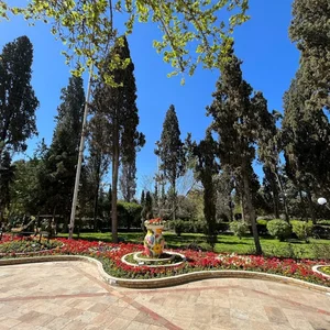 زمین بستکتبال