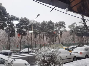 کالای برق مستر الکتریک