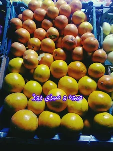 Fresh fruit and vegetables shaker salahian