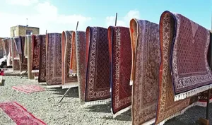 قالیشویی و مبلشویی ماهان کنگان 5