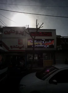 Indo Protein store