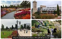 پارک 22 بهمن