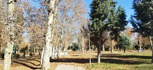 بوستان دانشجو