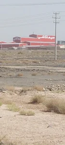 سیما کاشی