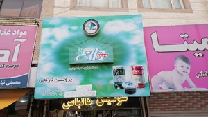 پروتئین پارسا