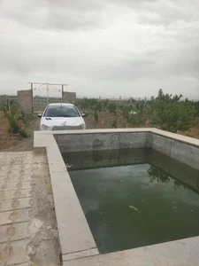باغ حامد میرعبدالحق