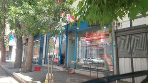 مرغ فروشی علیلو