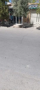 کافی نت عارف علی