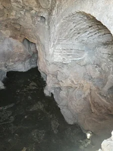 جویکنار نیاسر