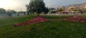 شهرداری منطقه ۱۱