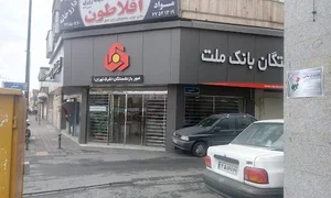 بانك ملت