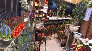 گل فروشی پارمیدا