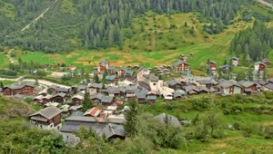 ساندویچی امیری