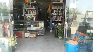 ابزار یراق عباسی
