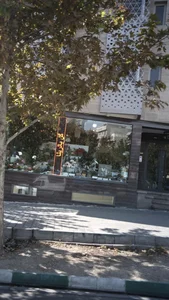 گلفروشی بالرینا 4