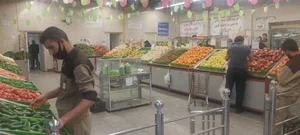 بازار میوه و تره بار دردشت 3