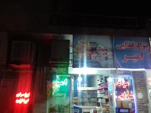 مواد غذایی امیر باغجری