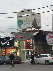 تن پوش