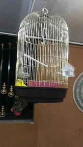 باشگاه شهید اسماعیل زاده