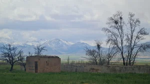 شهرداری سلطانیه