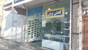 کفش وین 3