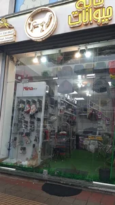 پت شاپ خانه حیوانات رشت| petshop 2