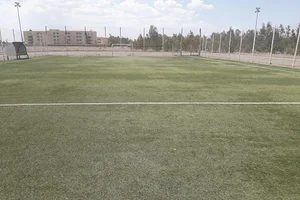 زمین چمن