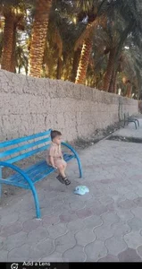 بوستان شقایق 2