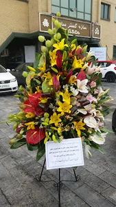 گلفروشی گلسنگ