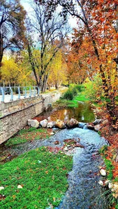 کوچه باغ
