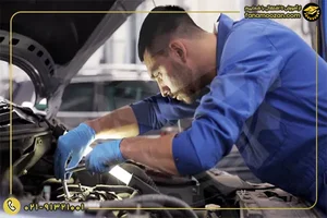 خدمات فنی گل محمدی