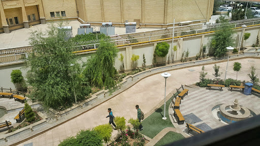 دانشگاه علم و هنر یزد