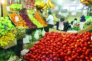 میوه فروشی الما