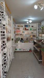 داروگیاهی آلوئەورا
