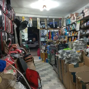 اسپرت مهدی 3