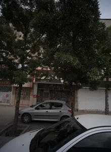 پارچه میلاد 2